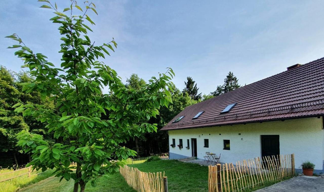 Apartmán Ferienhaus Am Dachsberg, Bayerischer Wald Haselbach Exteriér fotografie