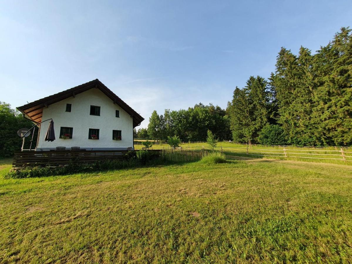 Apartmán Ferienhaus Am Dachsberg, Bayerischer Wald Haselbach Exteriér fotografie