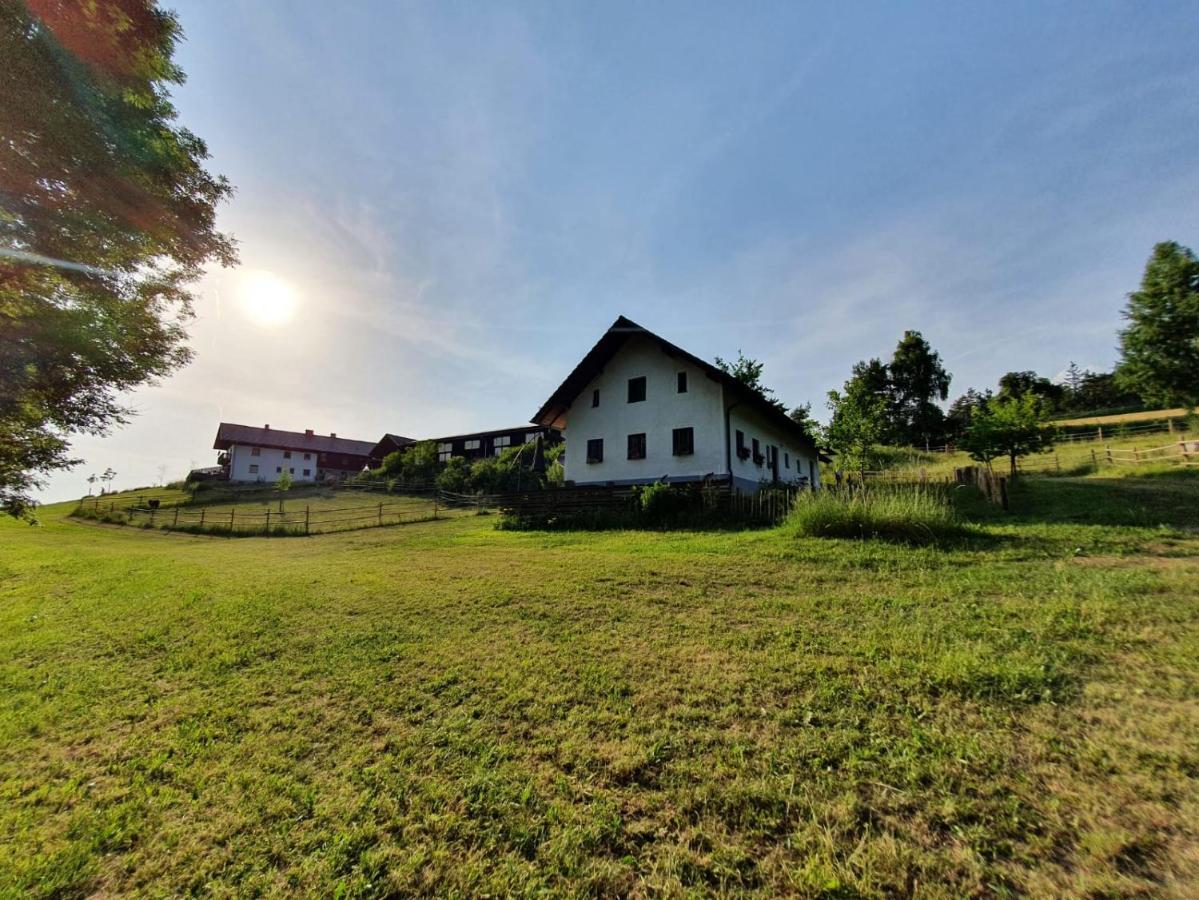 Apartmán Ferienhaus Am Dachsberg, Bayerischer Wald Haselbach Exteriér fotografie